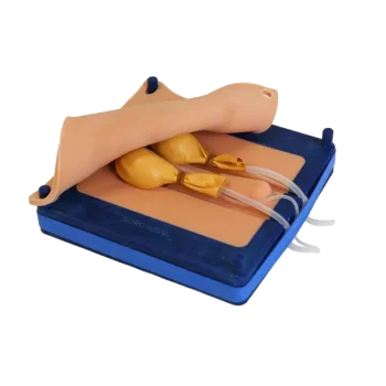 Simulador de castración canina Erler Zimmer