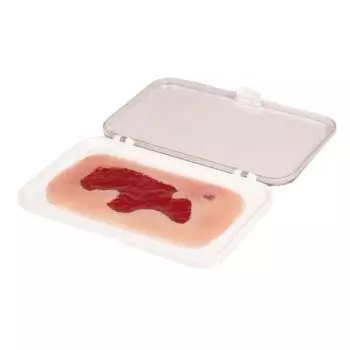 Modelo de una úlcera arterial de pierna en fase de granulación