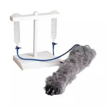 Simulador de inyección canina Erler Zimmer