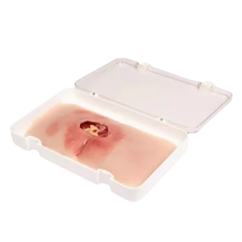 Modelo de úlcera por presión sacra Erler Zimmer - limpia