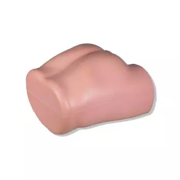 Simulador de inyección intramuscular y de biopsia de la médula ósea 7090 Erler Zimmer