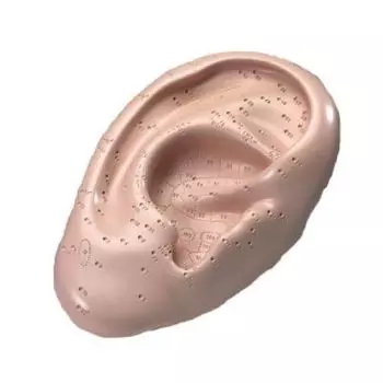 Acupuntura del oído N10