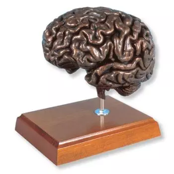 MEDart™ Cerebro de cobre MAC18K