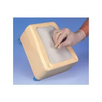 Lomo de prácticas para inyecciones lumbares epidurales W19334