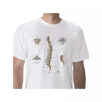 Camiseta anatómica, Columna vertebral, XL W41031