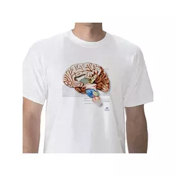 Camiseta anatómica, Encéfalo, XL W41039