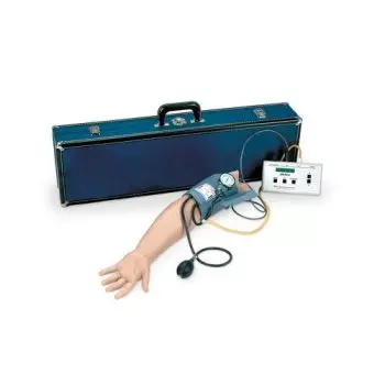 Modelo de Brazo de presión arterial, 230V 3B Scientific W44089-230
