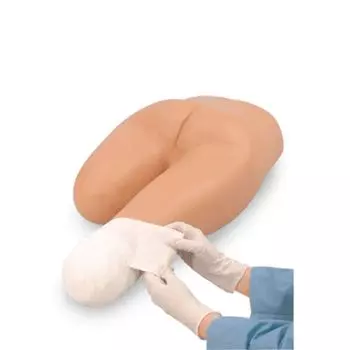 Simulador para vendar muñones de la pierna 3B Scientific