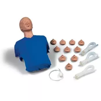Torso para resucitación cardiopulmonar W44537