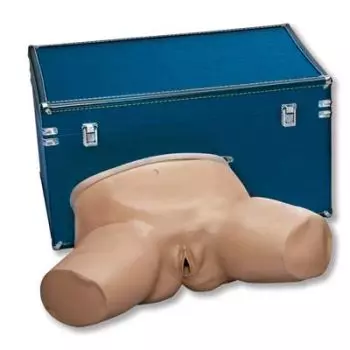Simulador de examen ginecológico normal Life/Form® 3B Scientific W44745N