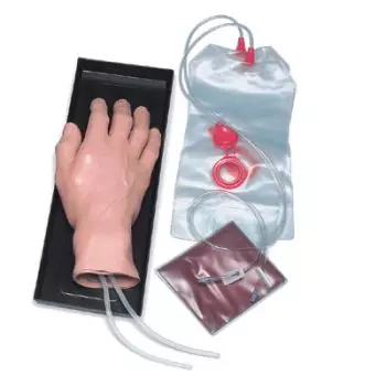 Simulador de Mano para practicar inyección intravenosa I.V W44600