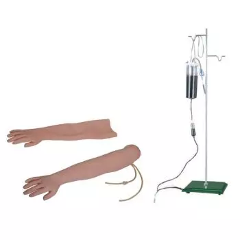 Modelo de brazo para inyección y punción venosa e intramuscular