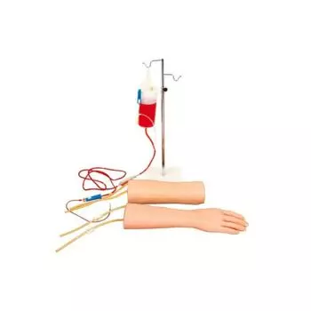 Brazo de entrenamiento para transfusión intravenosa con mano y codo