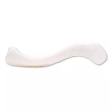 Clavícula, derecha A45/5R 3B Scientific