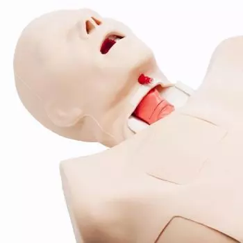Maniquí de Reanimación cardiopulmonar avanzada con traumatismo (ATLS) Truman Trauma 3B Scientific W45207