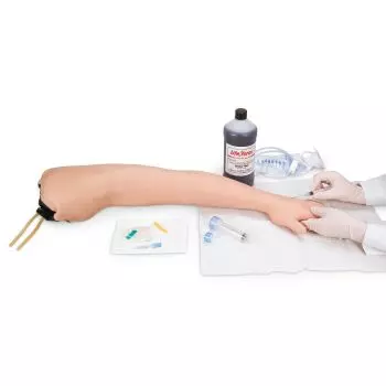 Modelo de brazo de inyección IV y IM 3B Scientific W44002