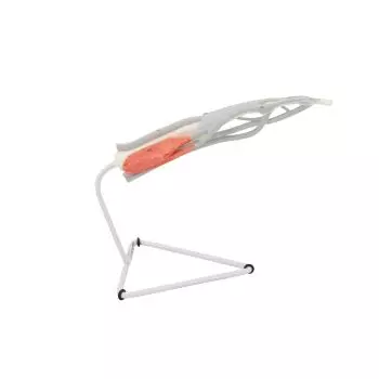 Modelo de la estructura de un dedo 3B scientific - M19