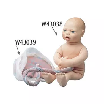 Placenta y cordón umbilical W43039 