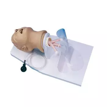 Modelo de cabeza de intubación adulto R10014 Erler Zimmer