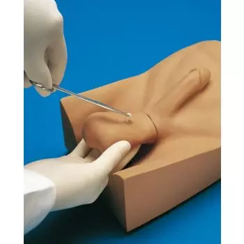 Simulador de vasectomía Erler Zimmer R10185