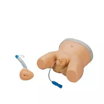 Simulador de cateterismo infantil R10857 Erler Zimmer
