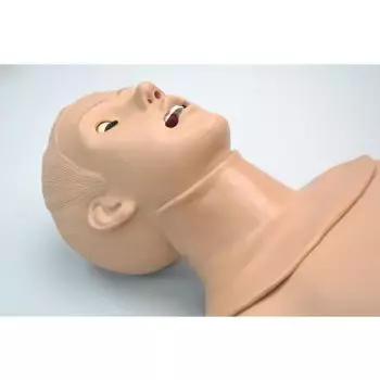 Torso de intubación W45156 3B Scientific