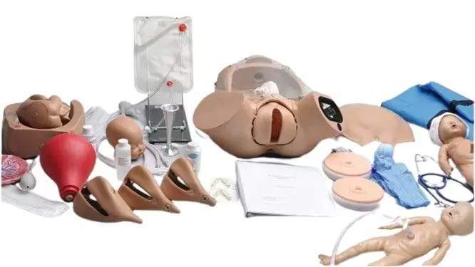 Simulador de parto Erler Zimmer