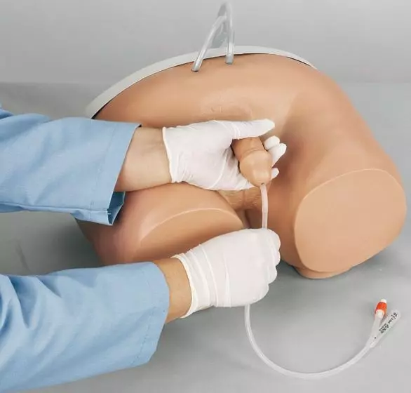 Simulador de cateterismo masculino Erler Zimmer R10855