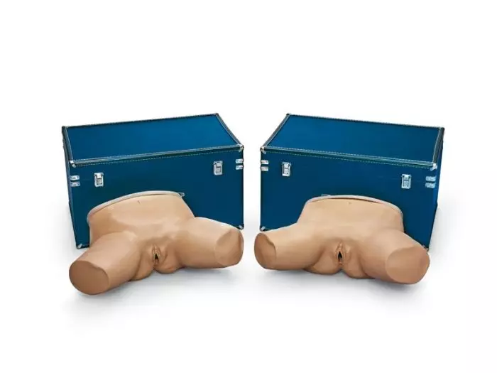 Simuladores de examen pélvico Erler Zimmer R10930