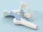 Modelo de articulación de la cadera con ligamentos 4555 Erler Zimmer
