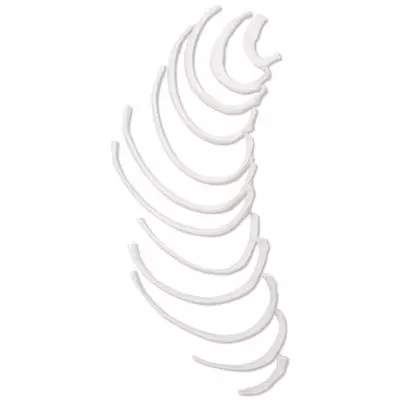 Costillas A69/2 3B Scientific