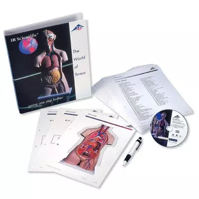 Guía para la enseñanza del Torso 3B B01