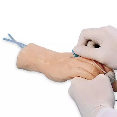 Mano para práctica de venipuntura 3B Scientific W43035