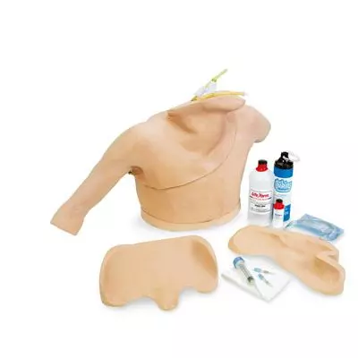 Simulador para cateterismo cardíaco 3B Scientific