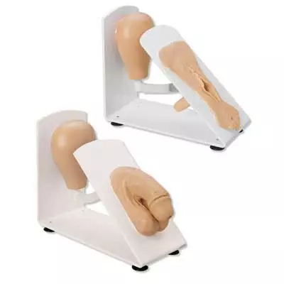 Simulador de cateterismo masculino y femenino 3B Scientific