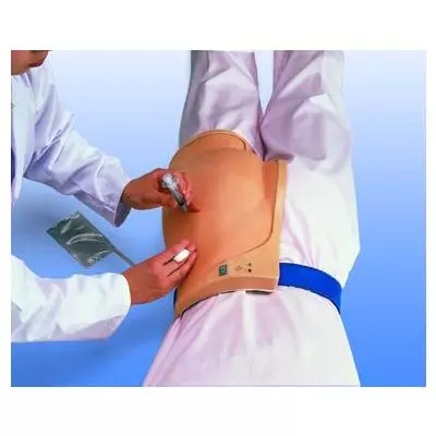 Simulador de nalga para inyección I.M. W30504