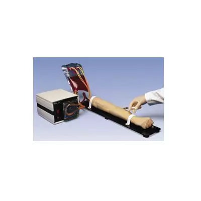 Simulador de Prácticas de punción arterial y brazo para inyecciones 115V W45093