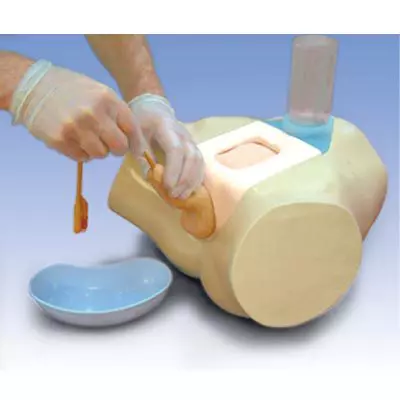 Simulador de cateterismo para formación clínica, masculino W19351