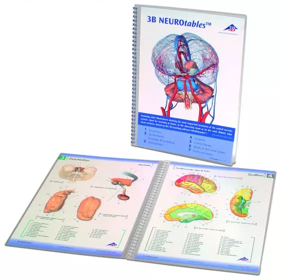 3B NEUROtables S0290