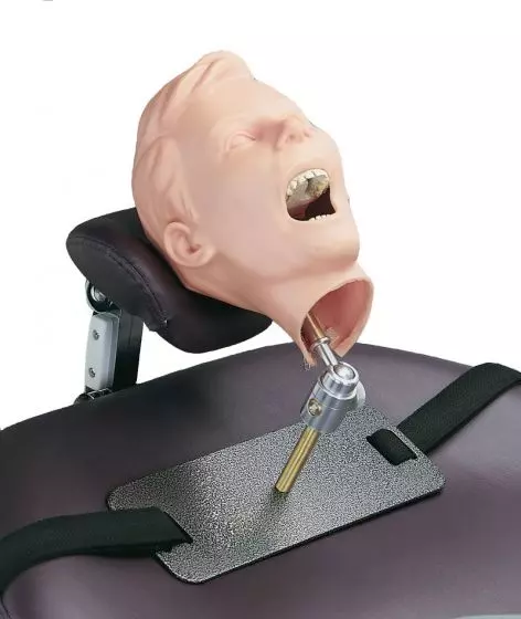 Maniquí Pediátrico de Examen Dental con Rayos X Erler Zimmer R17002
