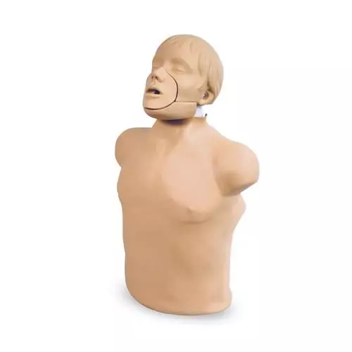 Maniquí Jaw Thrust Brad para tracción de mandíbula 3B Scientific W44036