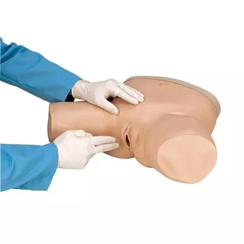 Kit de simulación de examen ginecológico 3B Scientific W44745