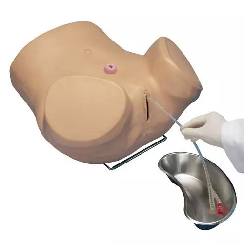 Simulador avanzado de cateterismo femenino 3B Scientific W45060