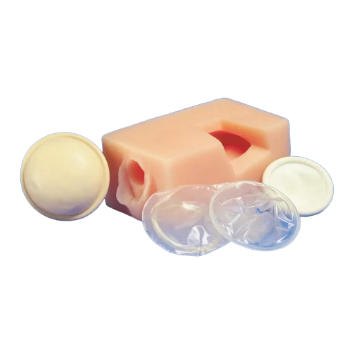 Modelo de contracepción en pelvis femenina W43079 3B Scientific