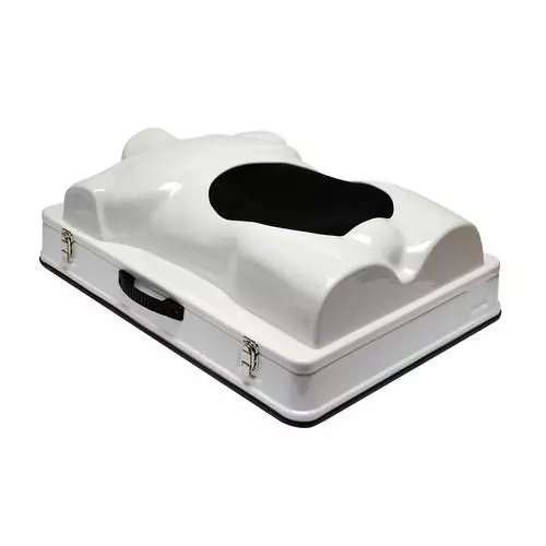 Torso para cirugía y laparoscopia W19312 3B Scientific