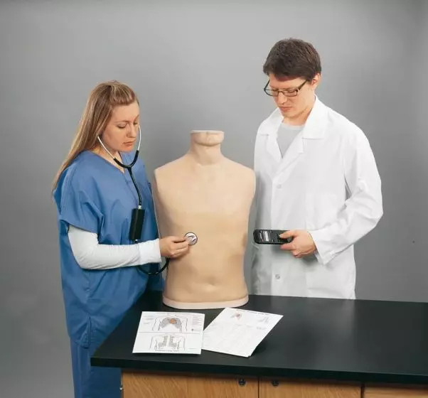 Simulador de auscultación Erler Zimmer R10001