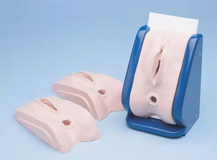 Simulador de Episiotomía y de Sutura Perineal Erler Zimmer L90