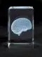 MEDart™ Bloque de Vidrio Cerebro MAC15G