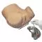 Simulador avanzado de cateterismo femenino 3B Scientific W45060