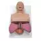 Maniquí adulto para el estudio de las vías respiratorias 3B Scientific